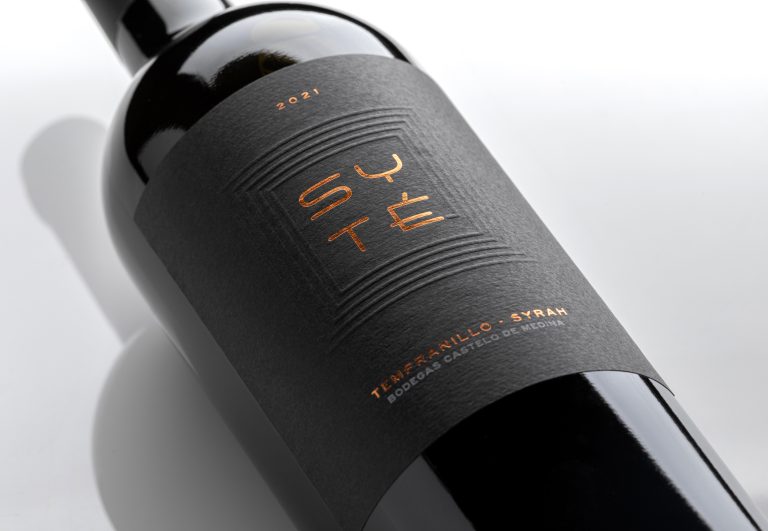 SYTÉ (CASTELO DE MEDINA)-4